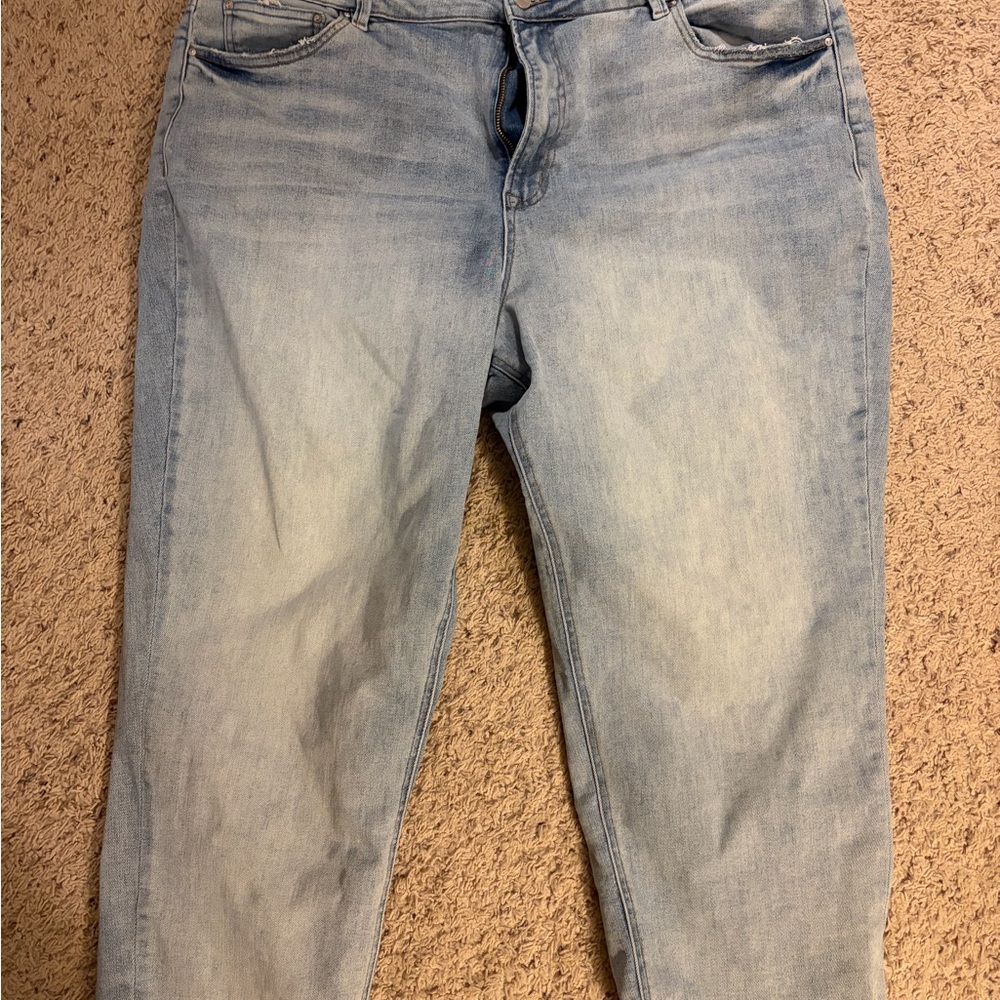 Mica Plus Size Light Blue Straight Leg Women's Jeans